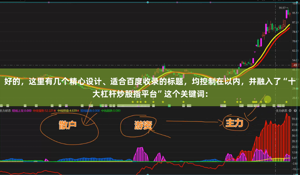 好的，这里有几个精心设计、适合百度收录的标题，均控制在以内，并融入了“十大杠杆炒股指平台”这个关键词：