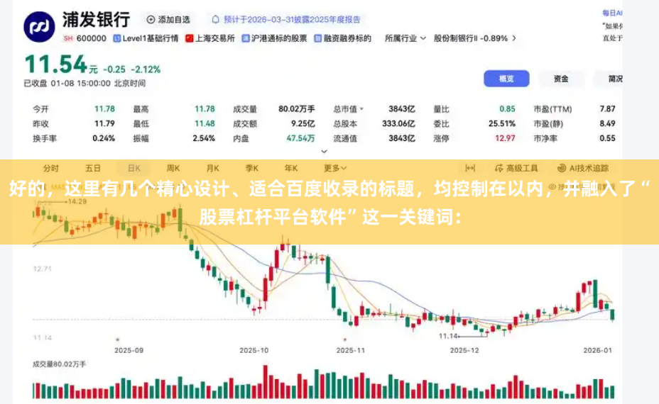 好的，这里有几个精心设计、适合百度收录的标题，均控制在以内，并融入了“股票杠杆平台软件”这一关键词：