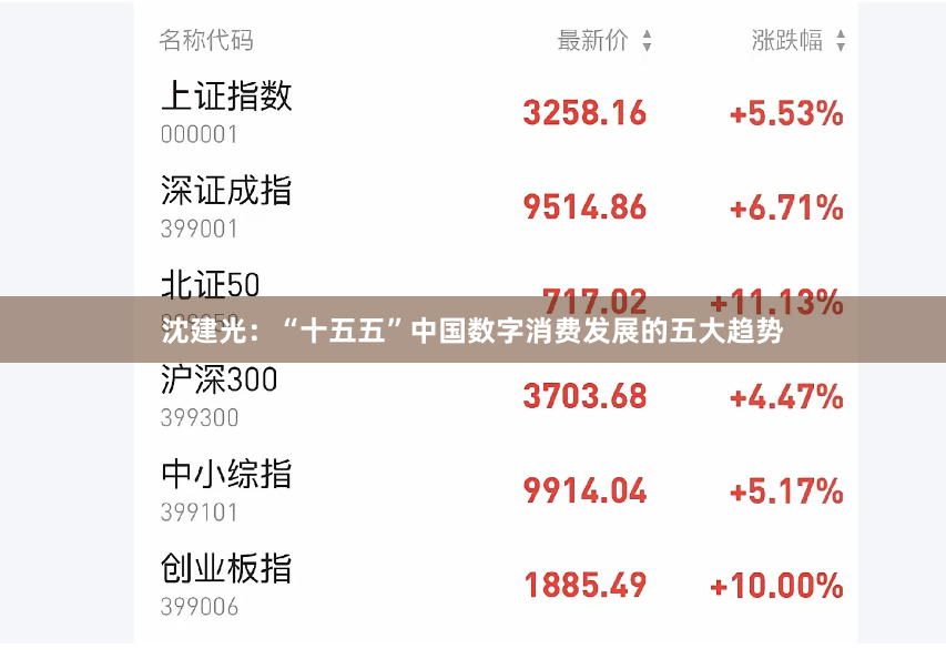 沈建光：“十五五”中国数字消费发展的五大趋势